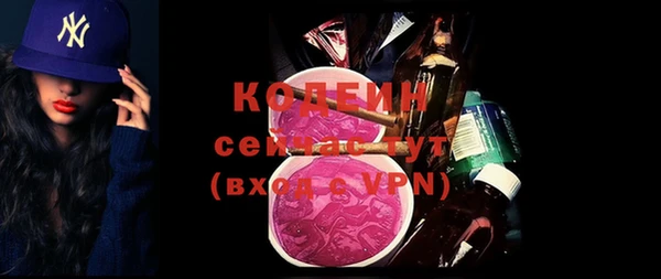 дурь Богданович